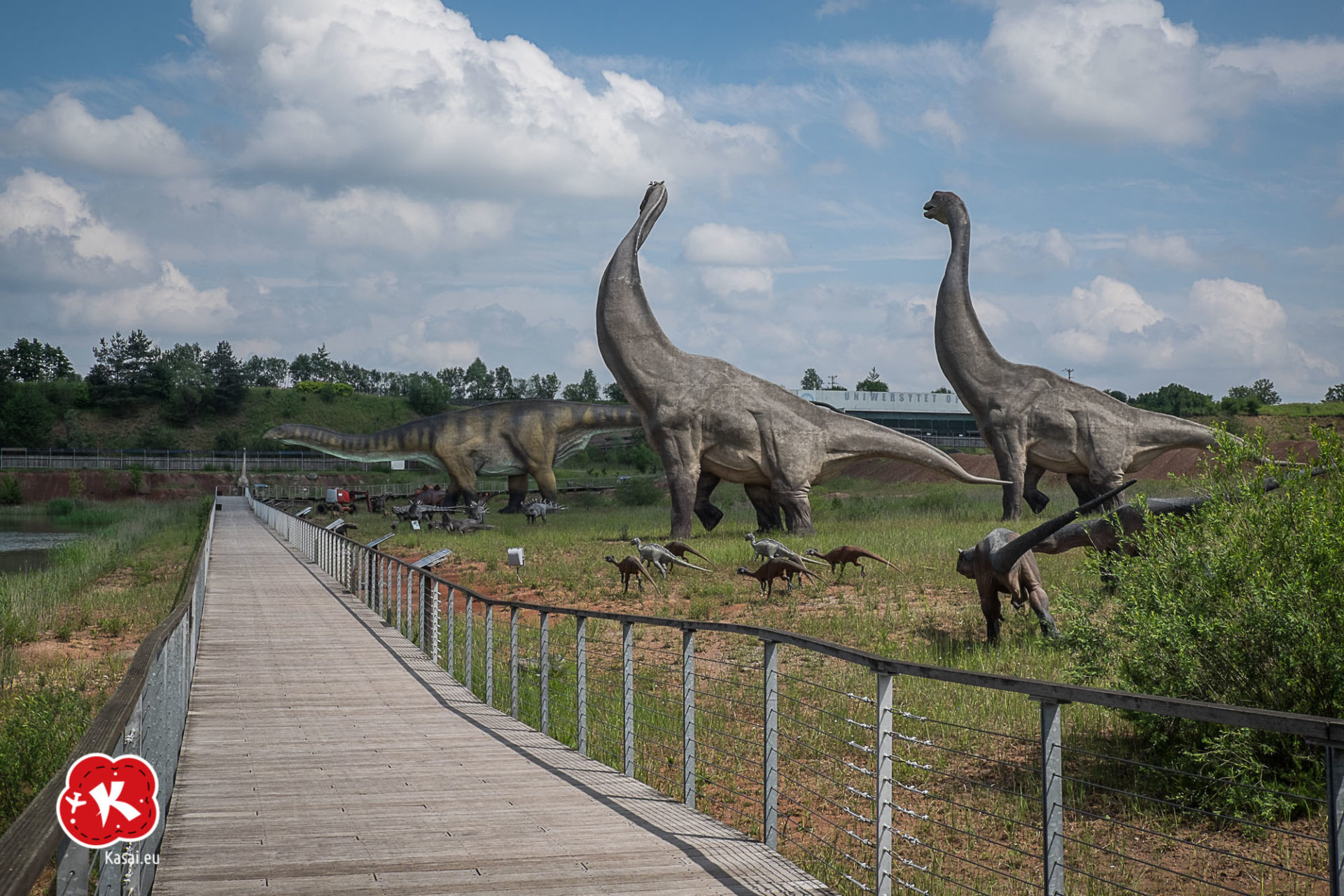 JuraPark Krasiej w Oraz Park Nauki I Ewolucji Cz owieka Pomys Na JuraPark Krasiej w Oraz Park Nauki I Ewolucji Cz owieka Pomys Na