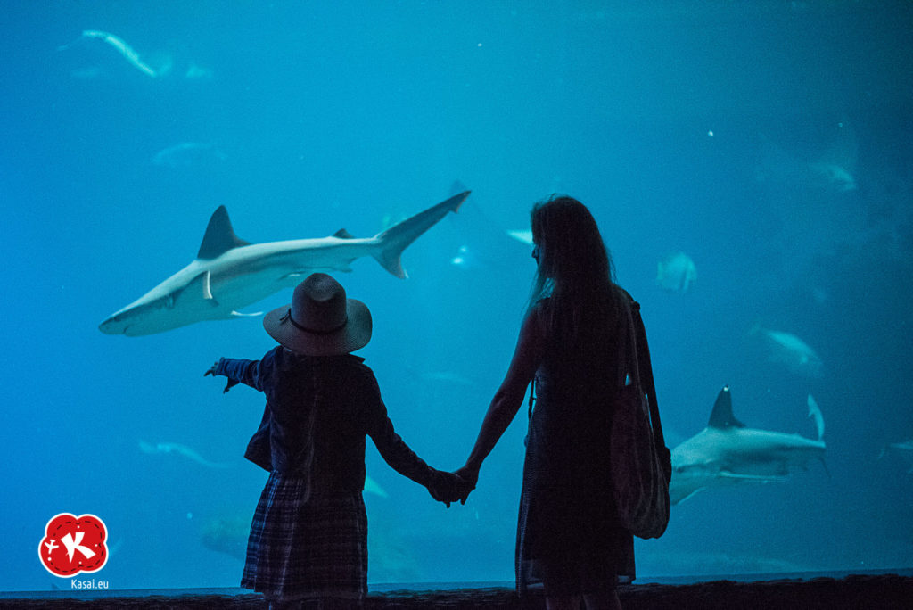Afrykarium ZOO Wrocław