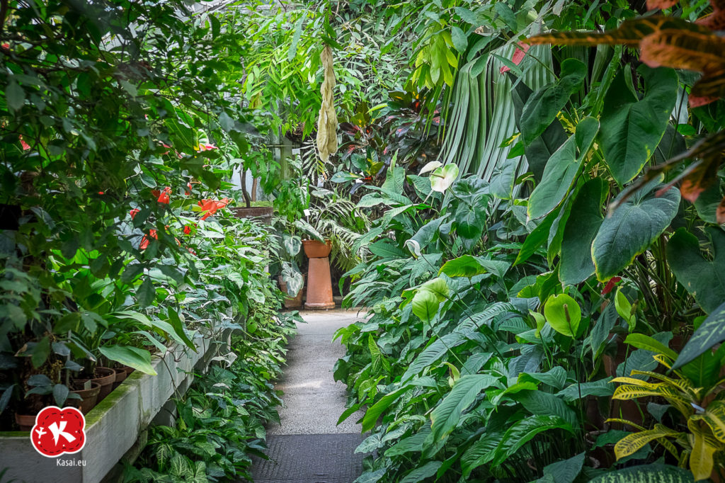 Ogród Botaniczny