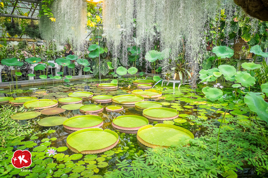 Ogród Botaniczny
