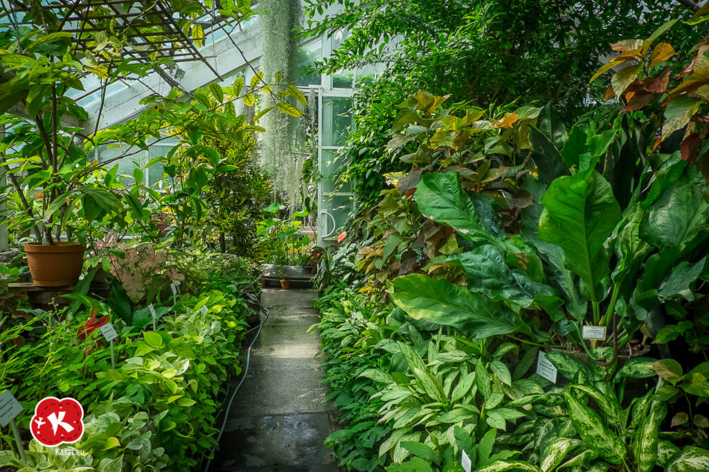 Ogród Botaniczny