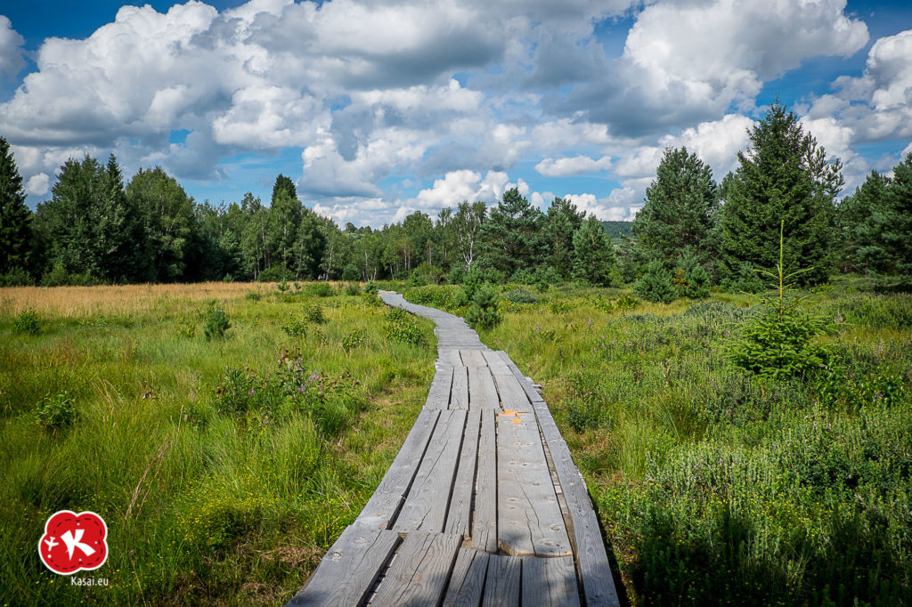 Torfowisko Tarnawa