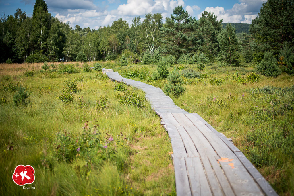 Torfowisko Tarnawa
