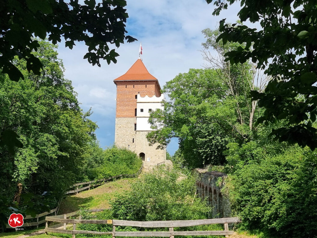 Zamek w Melsztynie