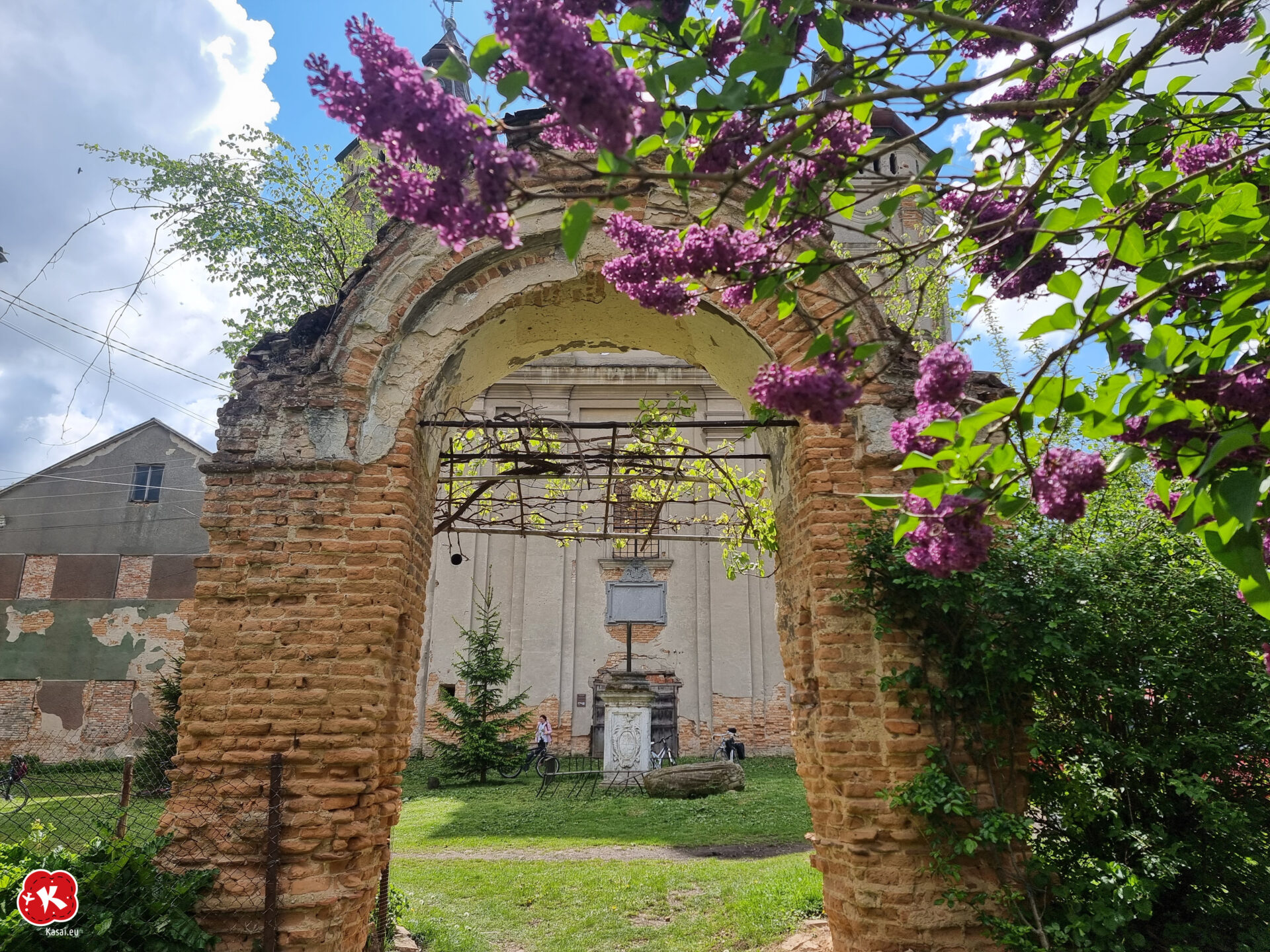 Grzęda Sokalska